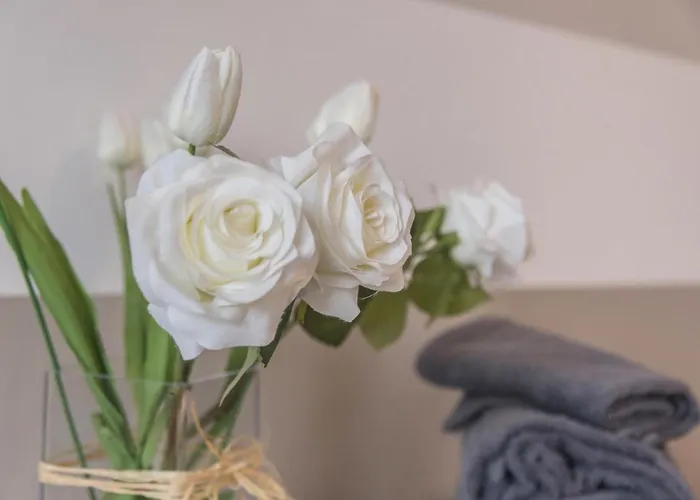 Maison Bibi Maggiore 公寓 *