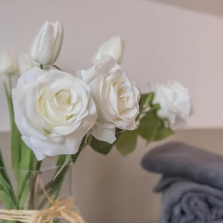 Maison Bibi Maggiore Apartment *